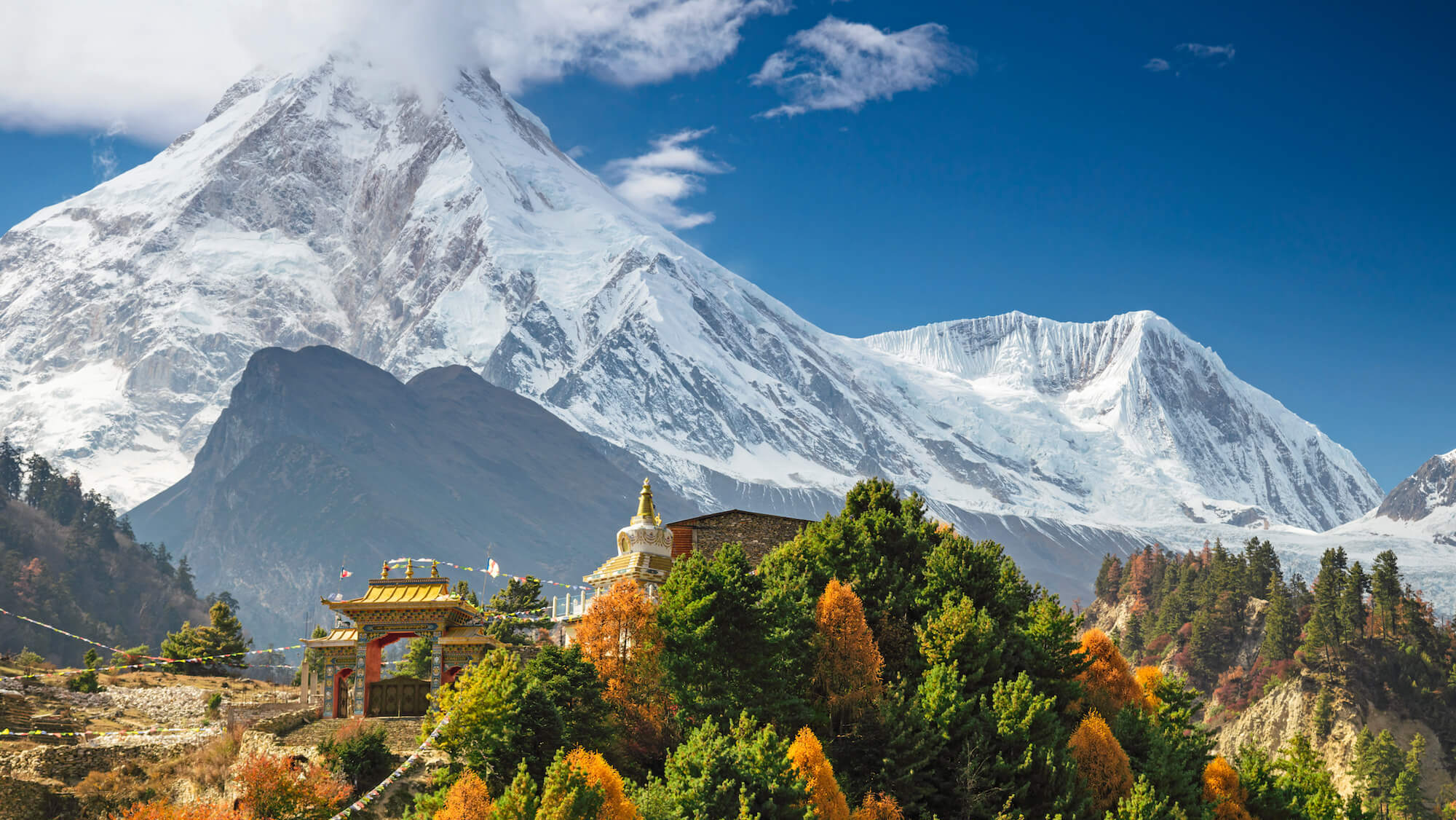 group trek nepal